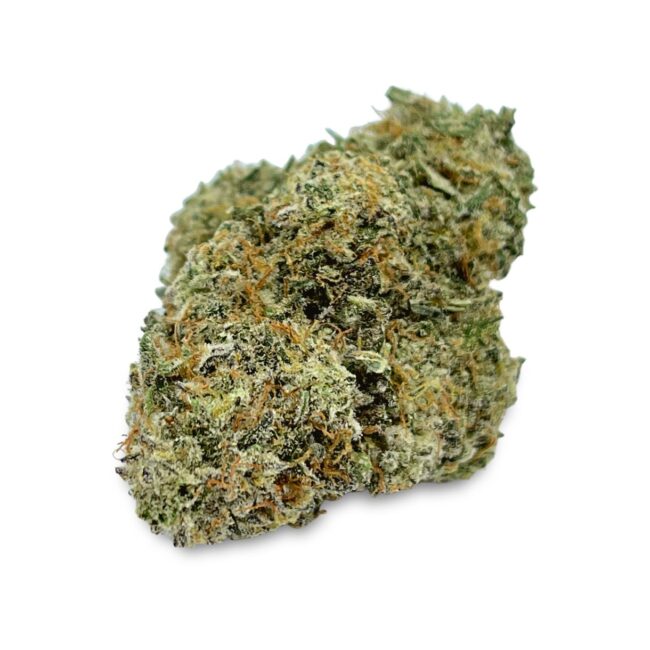 COCOA KUSH - BALANCED HYBRID - (AAA)