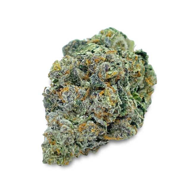 GELATTI - BALANCED HYBRID - (AAA)