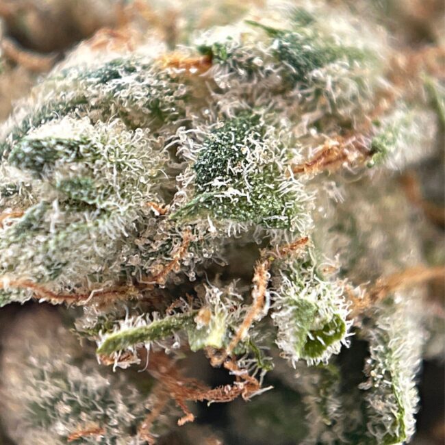 KALI MIST - SATIVA - (AAA) - Image 2