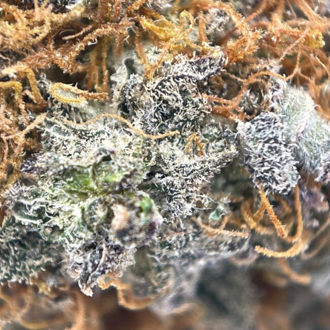 28gr - KRAKEN - INDICA - (AAA) - Image 2