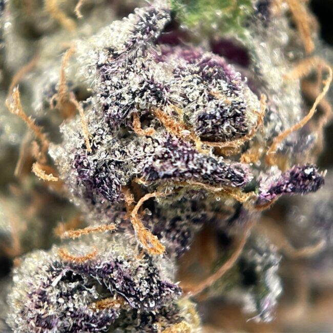 28gr - OREOZ - INDICA - (AAA) - Image 2