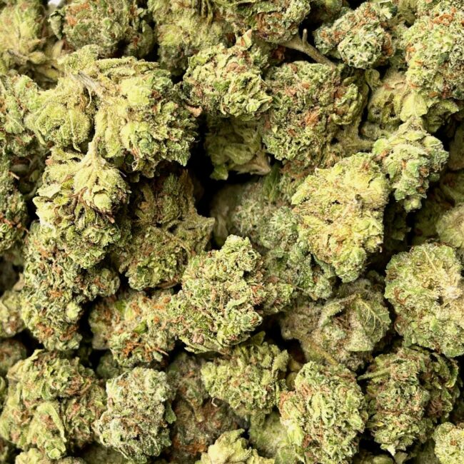 1/2p - TALISMAN (SMALLS) (BULK) - INDICA - (AAA) - Image 2