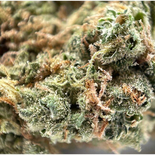 28gr - TALISMAN - INDICA - (AAA) - Image 2