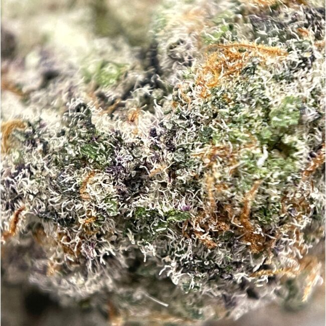 ZACK'S CAKE - BALANCED HYBRID - (AAA) - Image 2