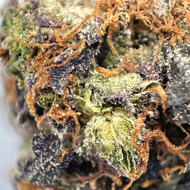 PP bubba k (1)