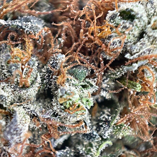 CHERRY CAKE - SATIVA - (AAA) - Image 2
