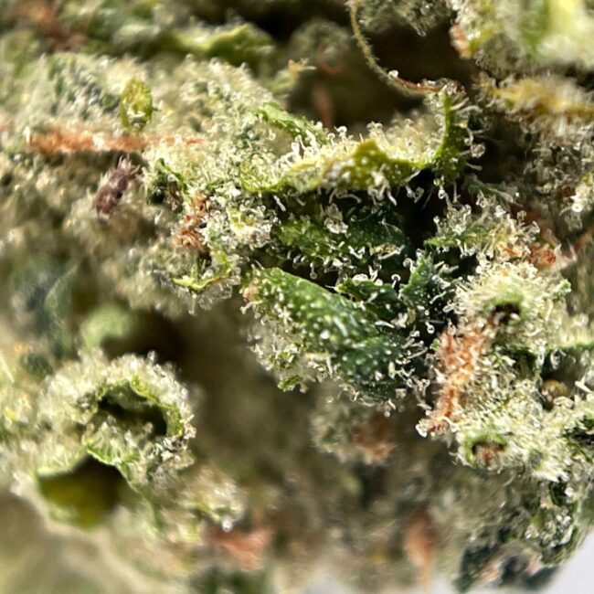 CANDY KUSH - INDICA - (AAA) - Image 2