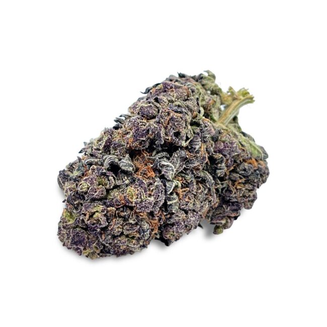 DRAGON'S BREATH - BALANCED HYBRID - (AA)