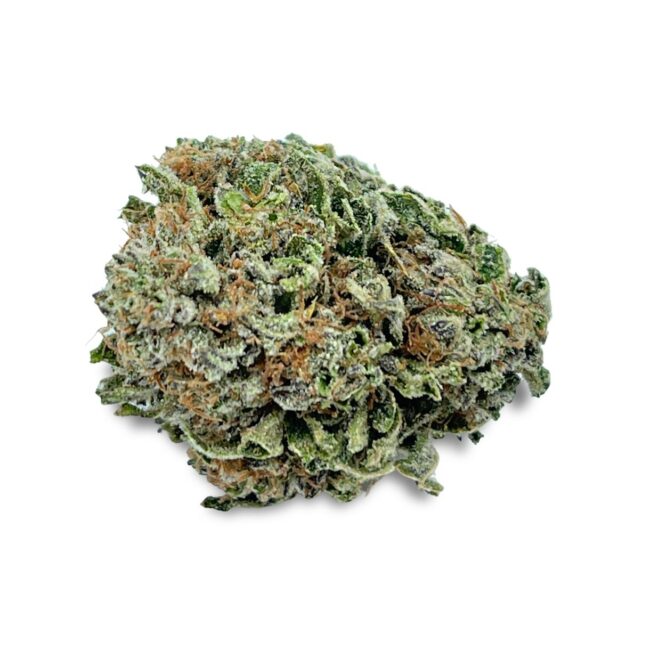 MIKE TYSON - INDICA - (AAA)