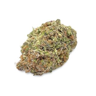 28gr - SOUR JAMAICAN LIME - BALANCED HYBRID - (AAA)