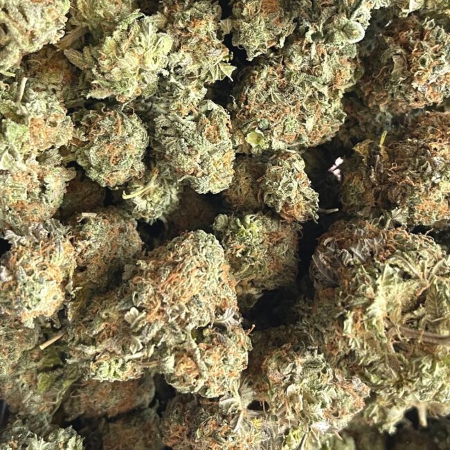 1/2p - CEMENT SHOES (BULK) - INDICA - (AA) - Image 2