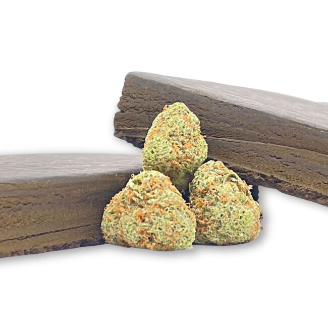 RED LABEL - INDICA - (AA)