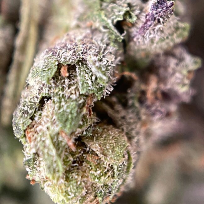 28gr - ROCKSTAR BUBBA (SMALLS) - INDICA - (AAA) - Image 2