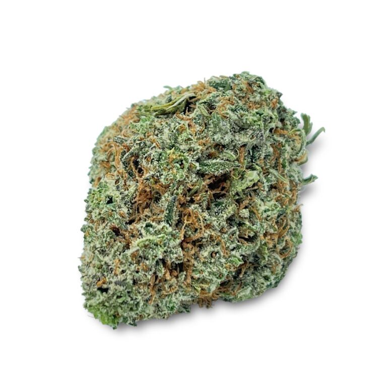 pp GRAPE APE (2)