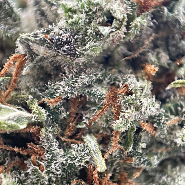 28gr - GRAPE APE - INDICA - (AAA) - Image 2