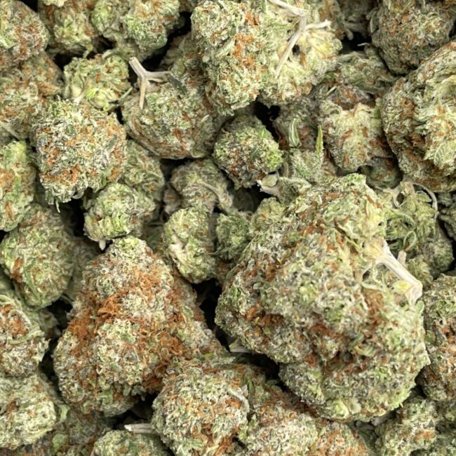 1/2p - GRAPE APE (BULK) - INDICA - (AAA) - Image 2