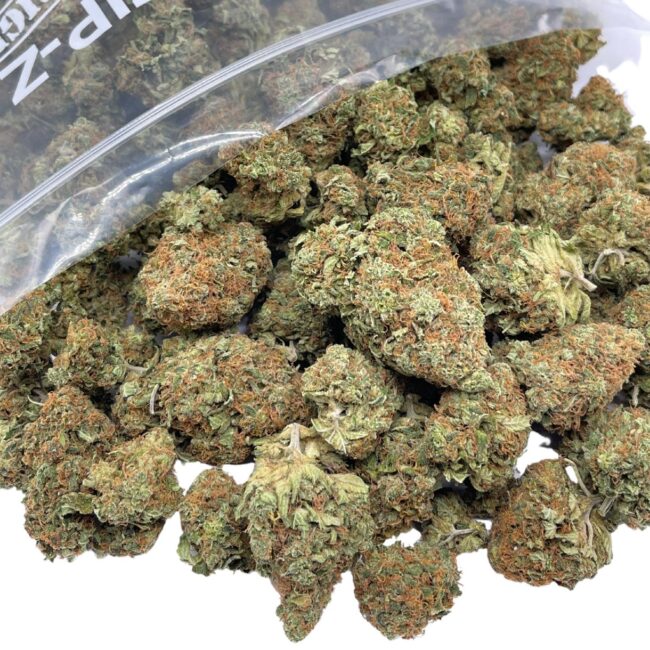 1/2p - ORANGE SKUNK (BULK) - SATIVA - (AAA)
