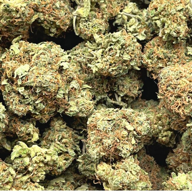 1/2p - ORANGE SKUNK (BULK) - SATIVA - (AAA) - Image 2