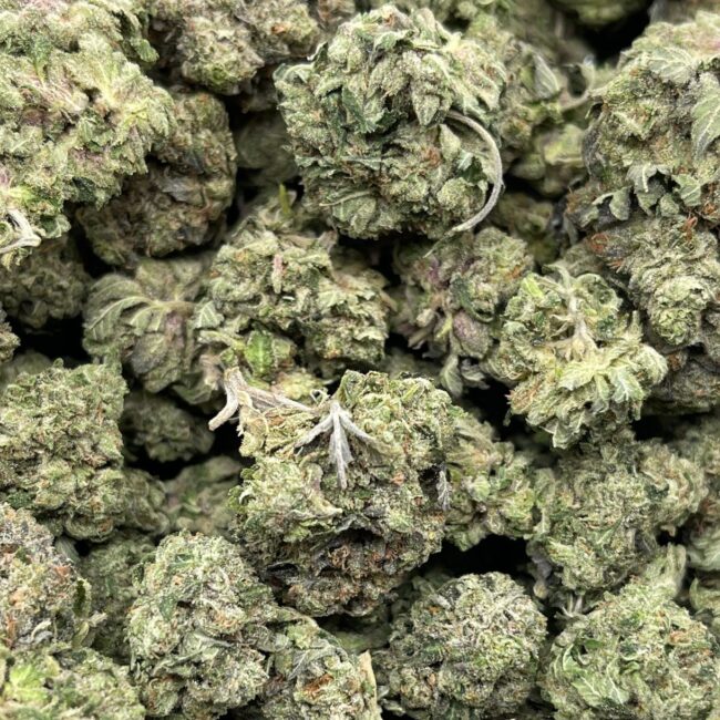 1/2p - ROCKSTAR PLATINUM (BULK) - INDICA - (AAA) - Image 2