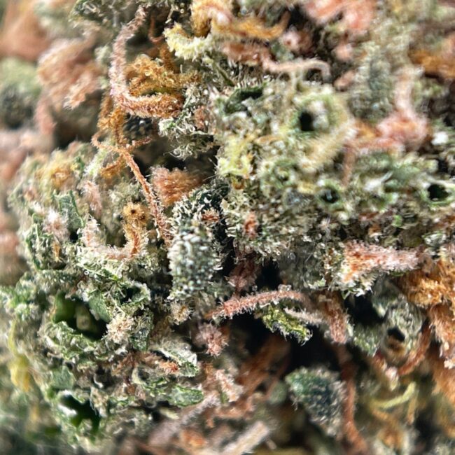 28gr - PINK KUSH - INDICA - (AAA) - Image 2