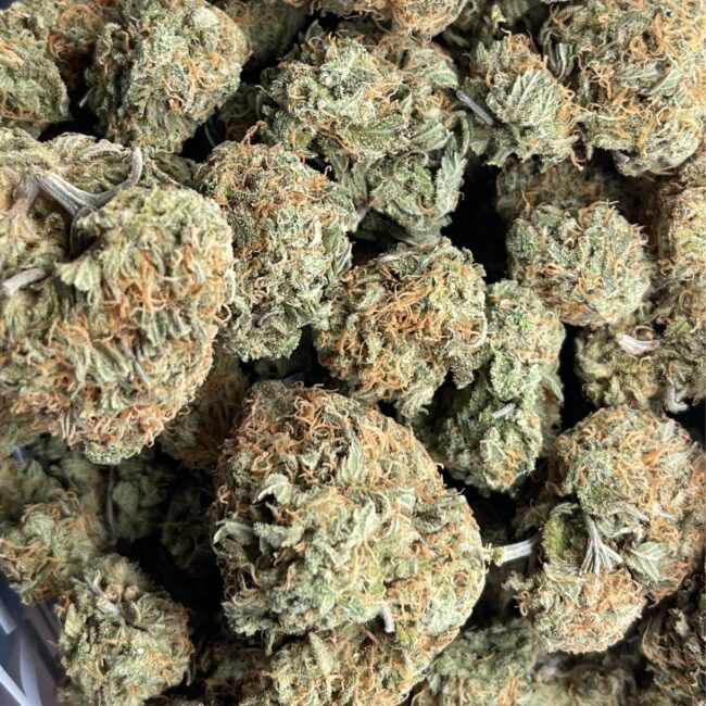 1/2p - CHEESE (BULK) - INDICA (AAA) - Image 2