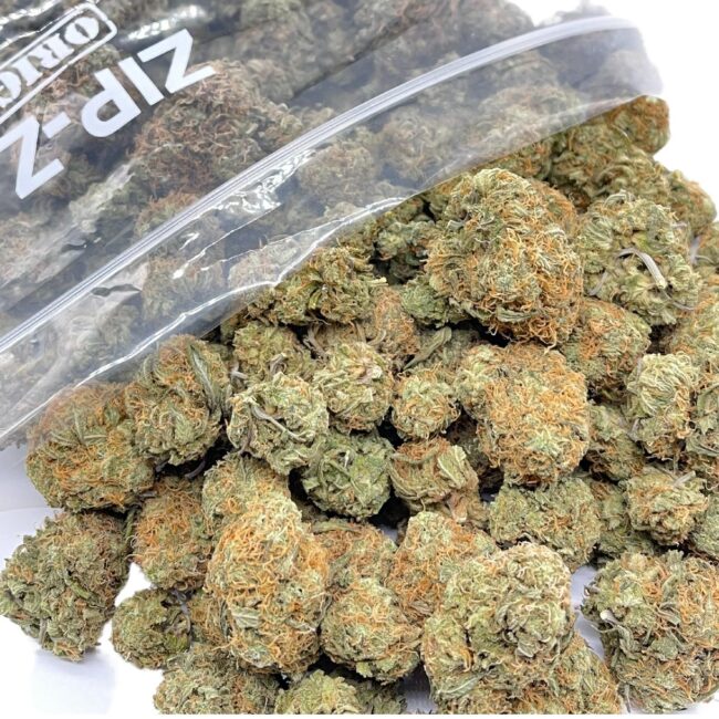 1/2p - CHEESE (BULK) - INDICA (AAA)