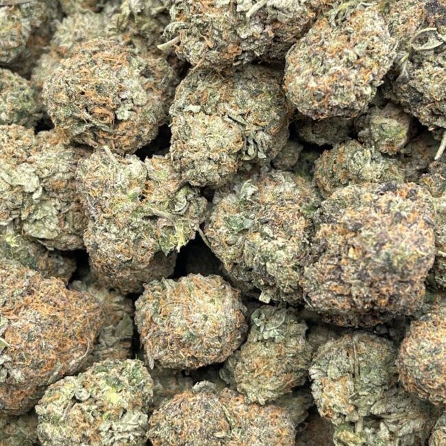 1/2p - LAYER CAKE (BULK) - INDICA - (AAA) - Image 2