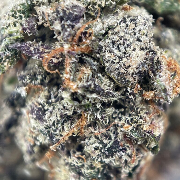 pp cherry soda 2