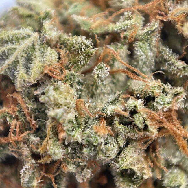 28gr - POPSCOTTI - INDICA - (AAA) - Image 2