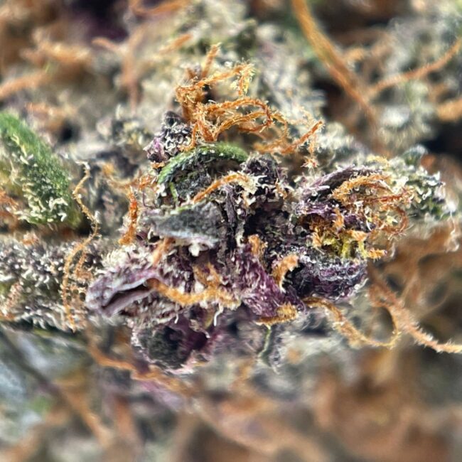 28gr - PINK ROZAY - INDICA - (AAA) - Image 2