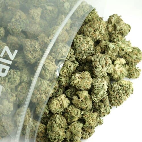 1/2p - JELLY BREATH (BULK) - INDICA - (AAA)