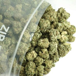 1/2p - JELLY BREATH (BULK) - INDICA - (AAA)