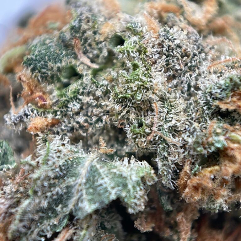 pp agent orange2