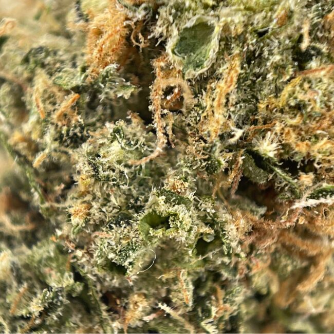 28gr - GMO CAKE - BALANCED HYBRID - (AAA) - Image 2