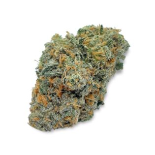 28gr - GOJI BERRY - SATIVA - (AAA)