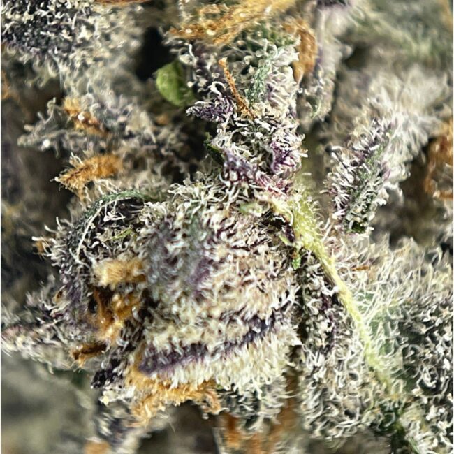 28gr - GORILLA BUTTER (SMALLS) - BALANCED HYBRID - (AAA) - Image 2