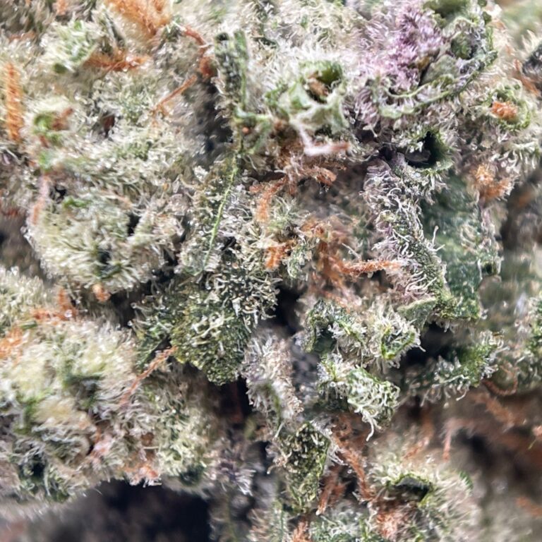 pp jelly breath 2