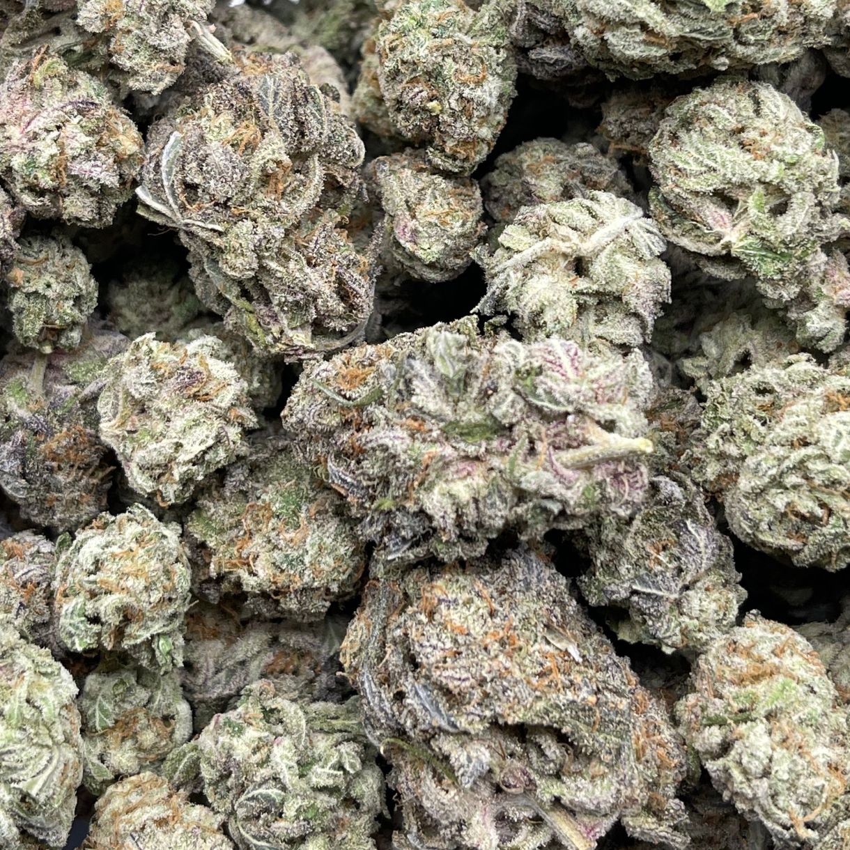 1/2p - MAC DADDY (BULK) - INDICA - (AA) - Image 2