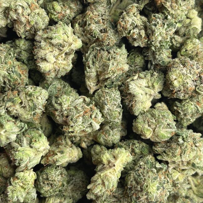 1/2p - ROCKSTAR TUNA (SMALLS) (BULK) - INDICA - (AAA) - Image 2