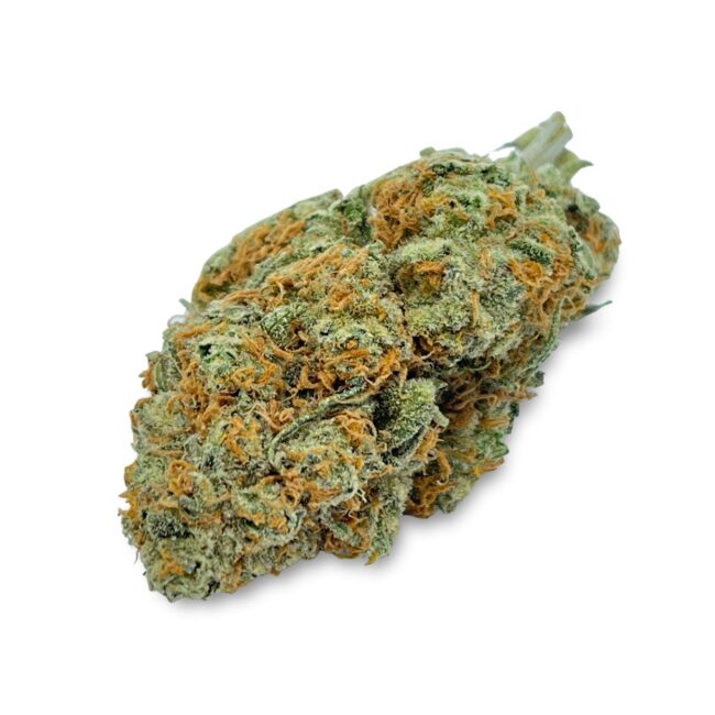 28GR - STRAWBERRY COUGH - SATIVA - (AAA)