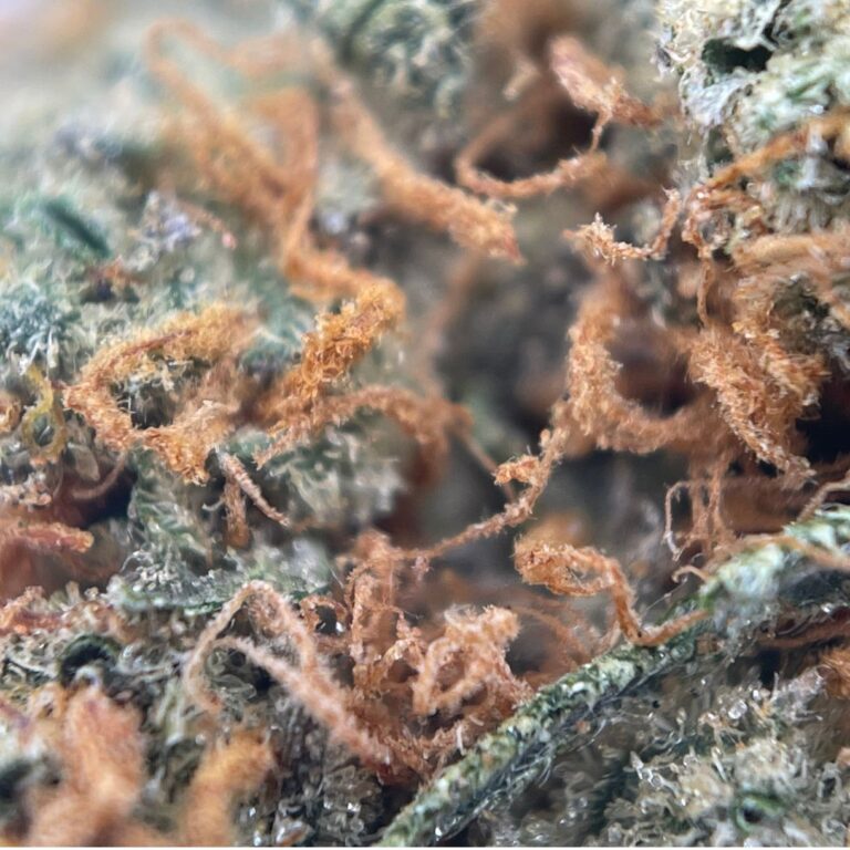 pp straw cough2