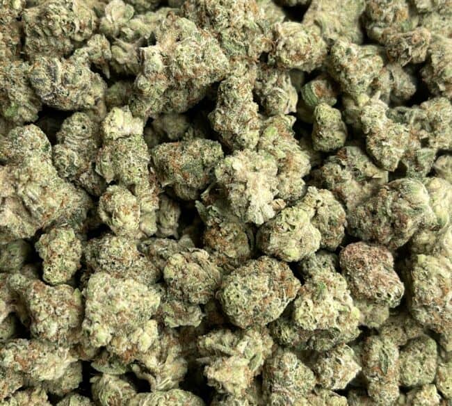 2023-09-13 10-32-56 (2)