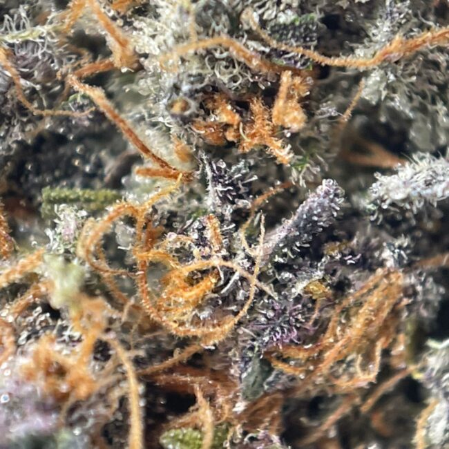 28gr - CHUNKY MONKEY - INDICA - (AAA) - Image 2