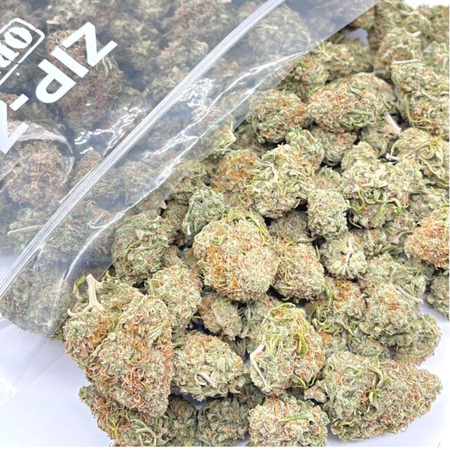 1/2p - GRAPE WRECK (BULK) - INDICA - (A)