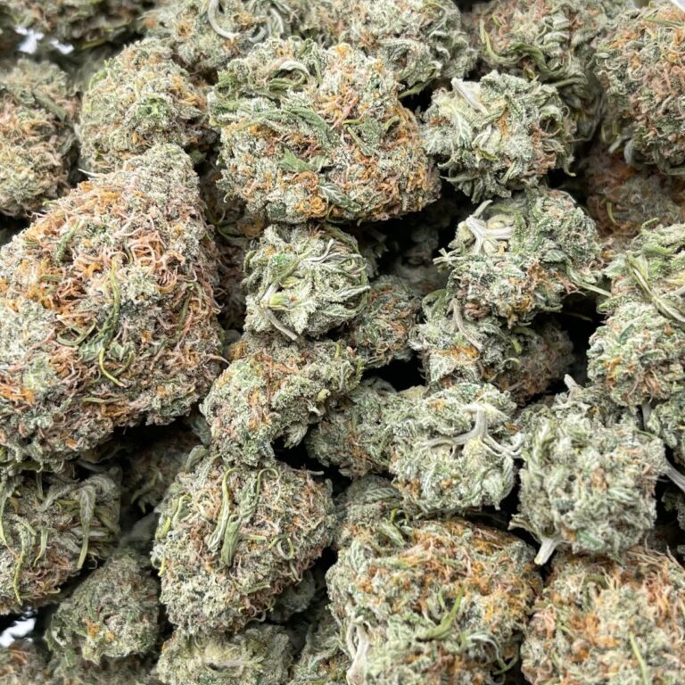 pp GRAPE B2