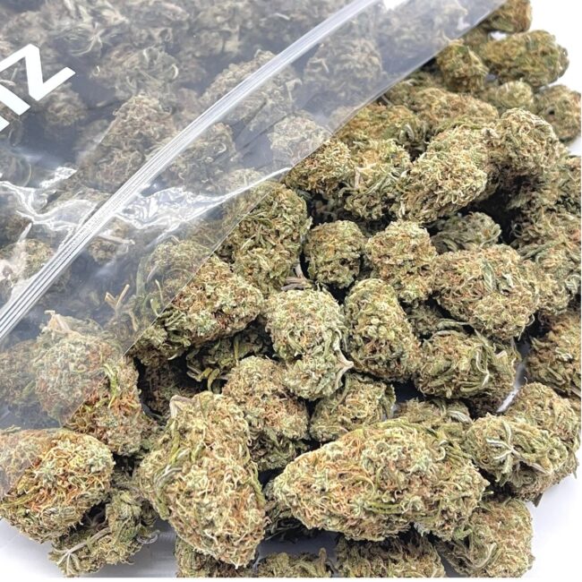 1/2p - ORANGEADE (BULK) - BALANCED HYBRID - (A)