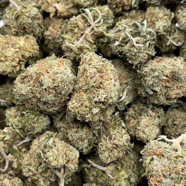 1/2p - ORANGEADE (BULK) - BALANCED HYBRID - (A) - Image 2