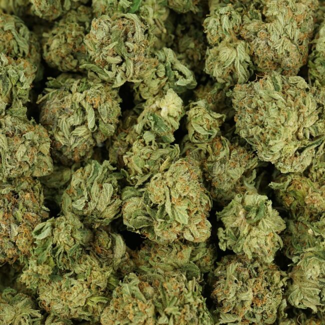 28gr - JELLY BREATH - INDICA - (AAA) - Image 3