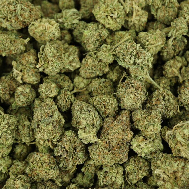 pp pink gas i (1)