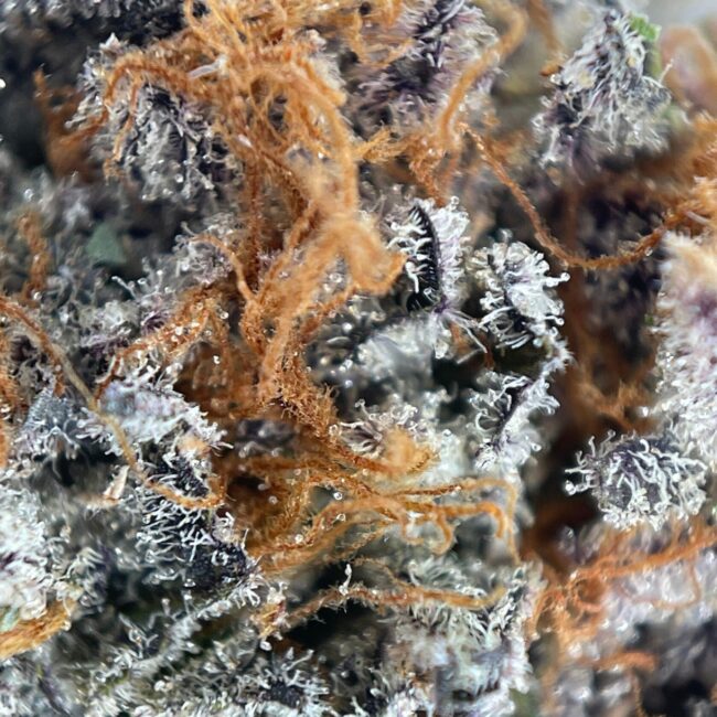 28gr - SLURRICANE - INDICA - (AAAA) - Image 2